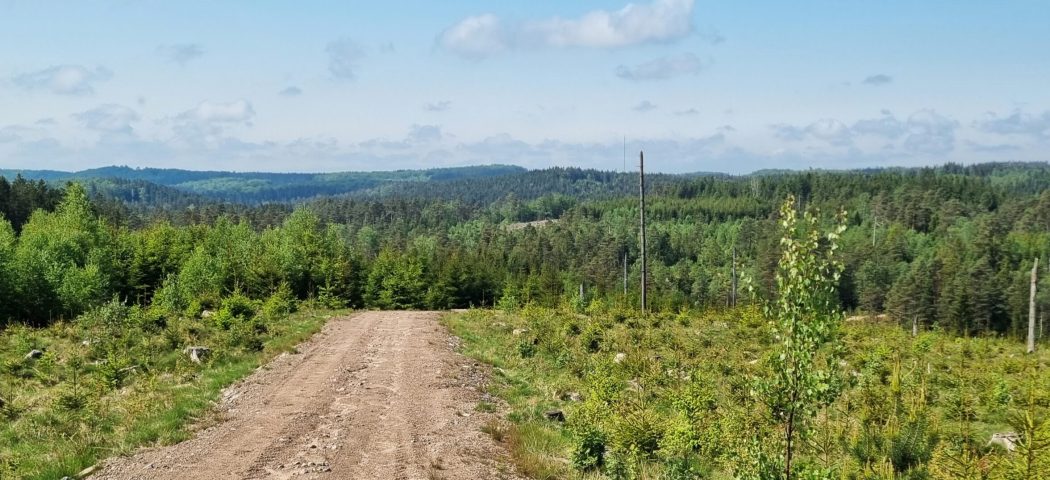 Braknesbacken_header