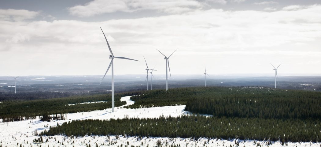 Drönare_vinterSkog_Åskälen_Munkflohögen6